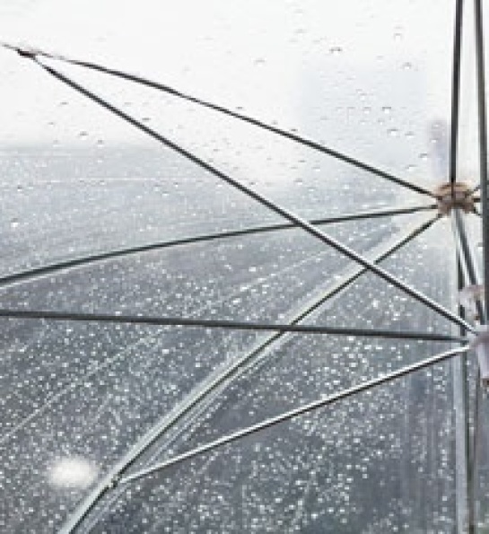 Indústria se organiza para apoio às vítimas das chuvas em Minas Gerais d51d43cea565f14488dbaf5f6611e3eaad2c9e9c52b1dcf9bfd016f8caedde93.jpg